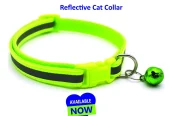 Cat Collar