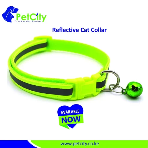 Cat Collar