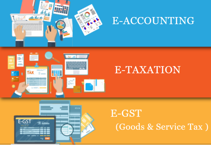 Accounting Course in Delhi, 110049, NCR by SLA Accounting Institute, Taxation and Tally Prime