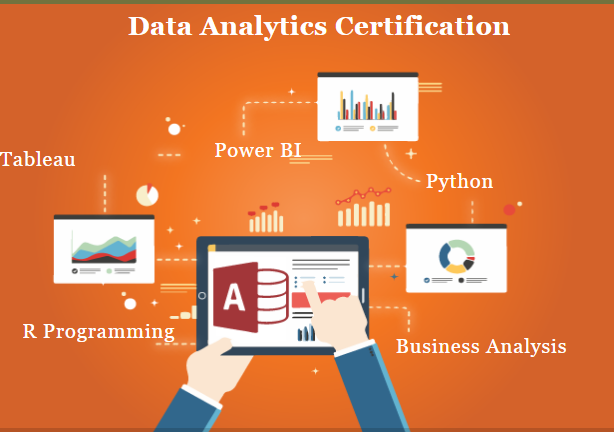 Data Analyst Course in Delhi,110024. SLA